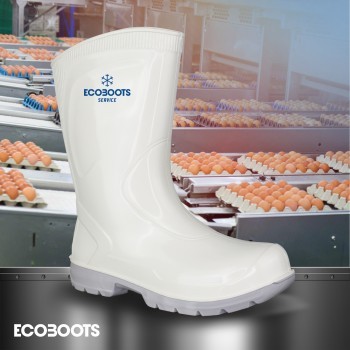 Ecoboots