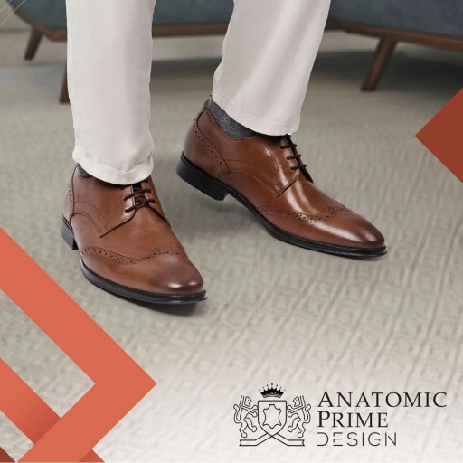 Anatomic Prime