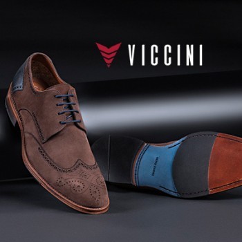 Viccini