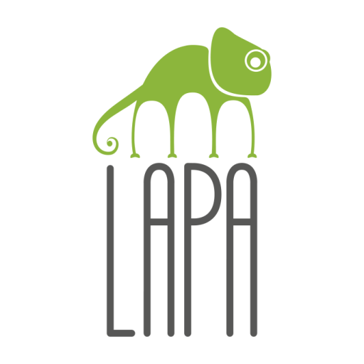 Lapa Shoes