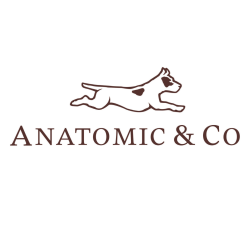 Anatomic & Co